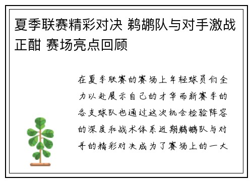 夏季联赛精彩对决 鹈鹕队与对手激战正酣 赛场亮点回顾